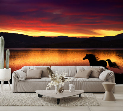 Horse Running at Sunset Wall Mural