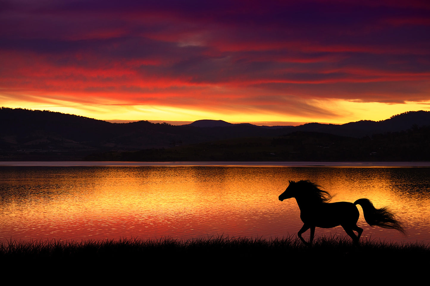 Horse Running at Sunset Wall Mural