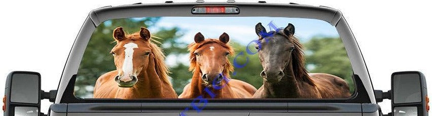 Three Horses-Rear Window Decal-Graphic - Let's Print Big