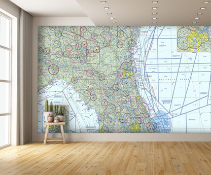 Aeronautical Chart Jacksonville Wall Mural