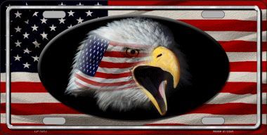American Flag Bald Eagle License Plate Car Tag