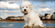 Bichon Frise Dog License Plate Car Tag