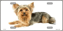 Yorkshire Terrier Dog License Plate Car Tag