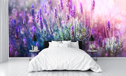 Lavender Wall Mural
