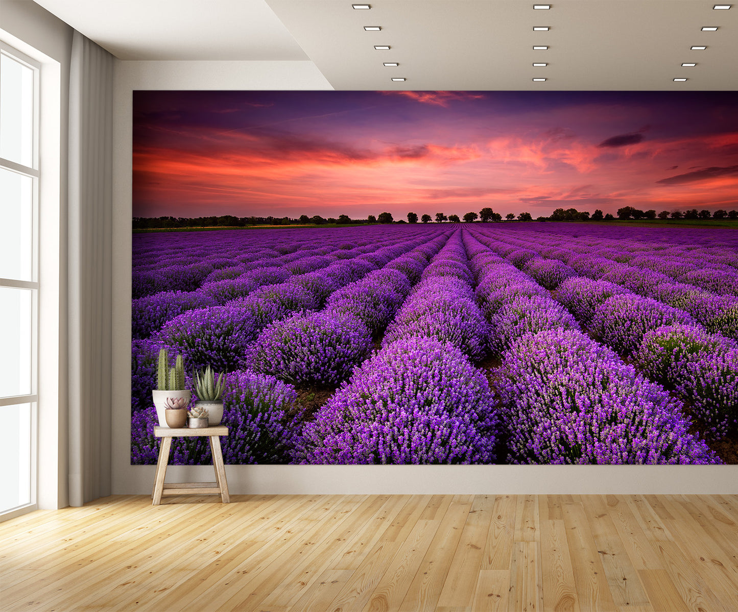 Lavender Field at Sunset Wall Mural