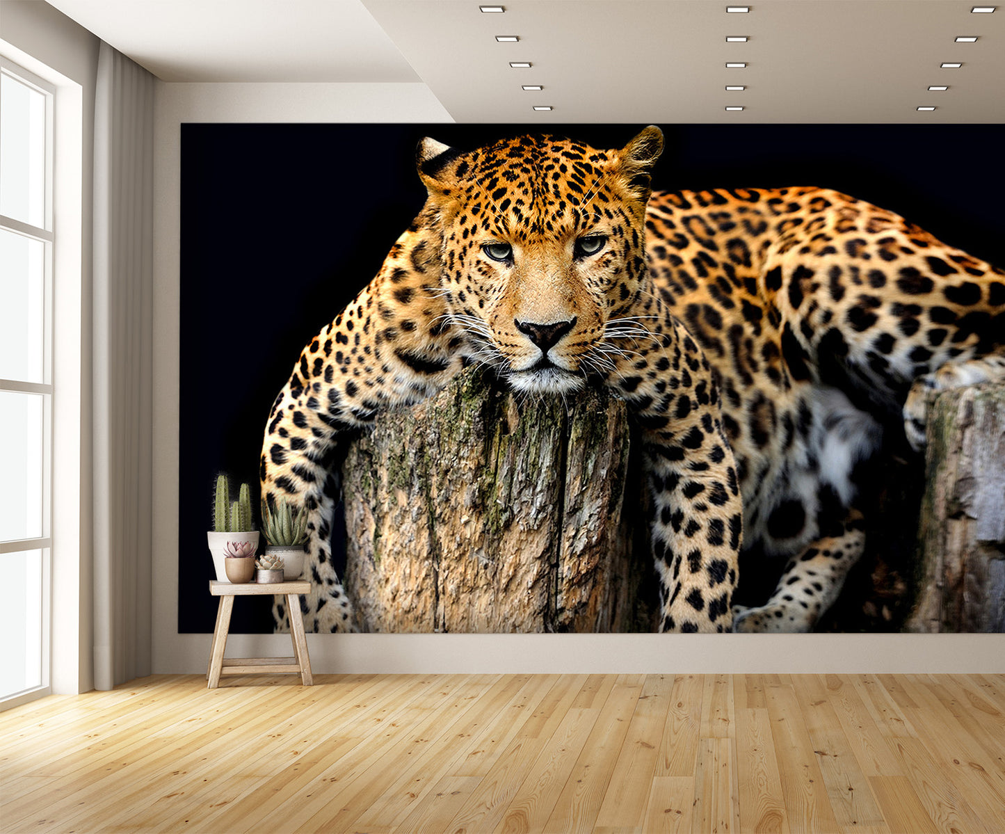 Leopard Isolated Wall Mural