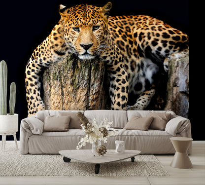 Leopard Isolated Wall Mural