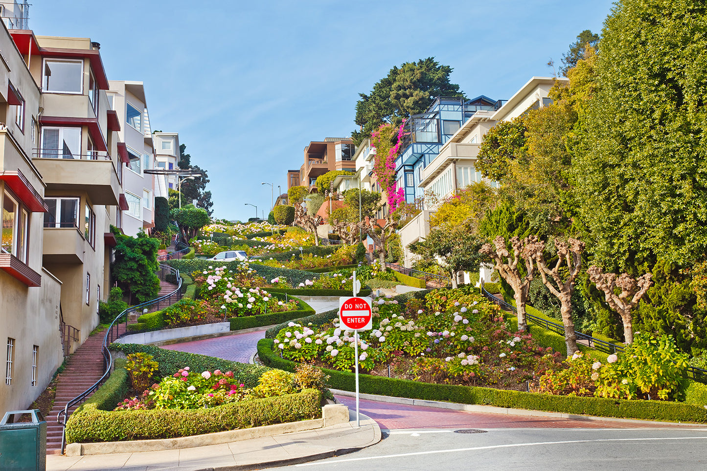 Lombard Street in San Francisco Wall Mural
