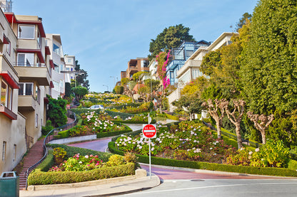 Lombard Street in San Francisco Wall Mural