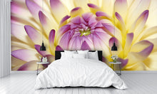 Macro Pink Flower Wall Mural