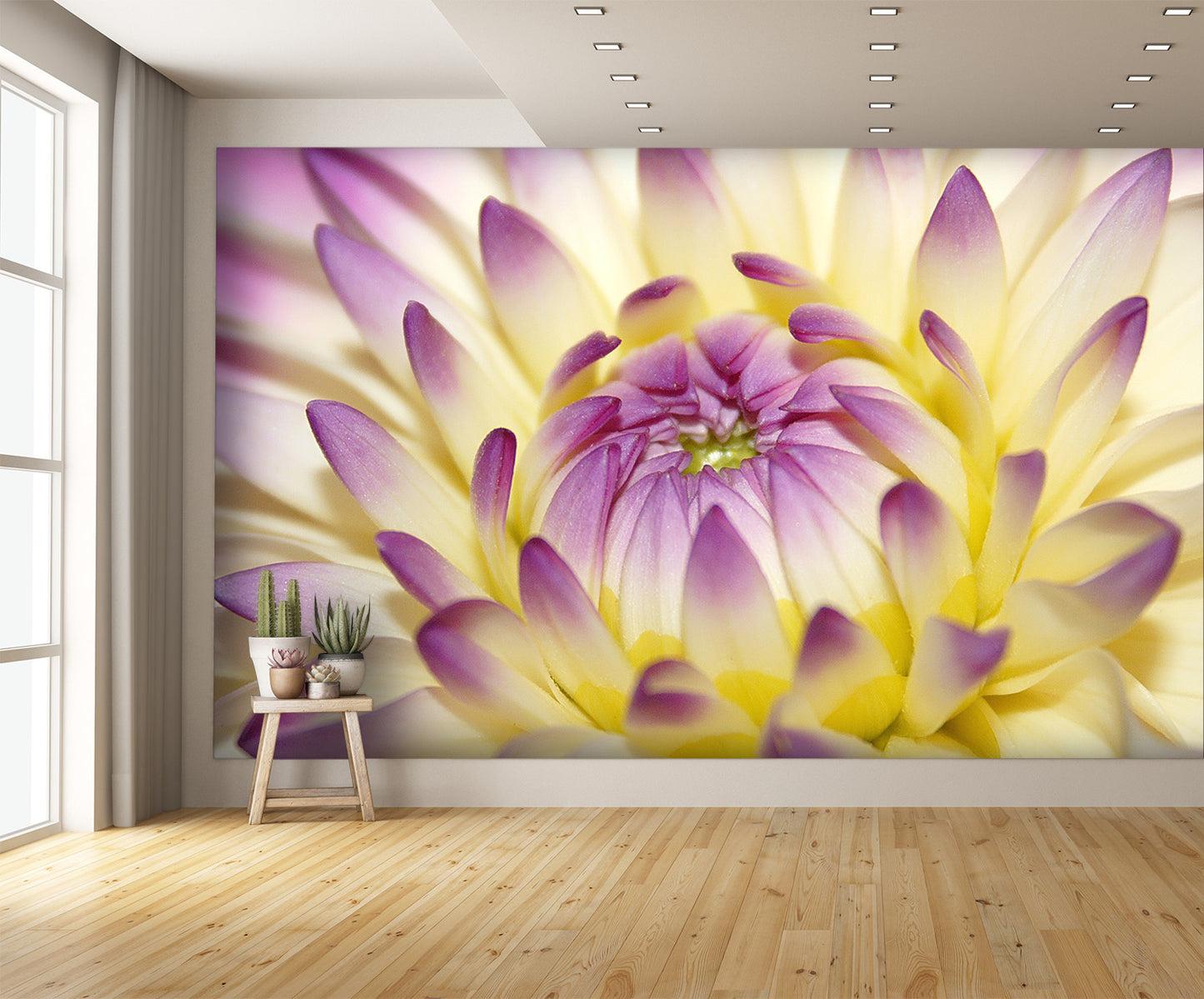Macro Pink Flower Wall Mural