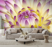 Macro Pink Flower Wall Mural