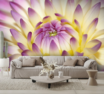 Macro Pink Flower Wall Mural