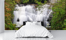 Meigs Falls in Smoky Mountains Wall Mural