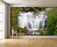 Meigs Falls in Smoky Mountains Wall Mural