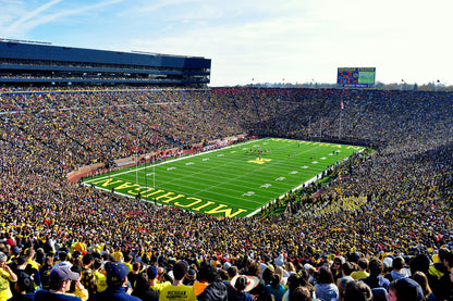 Michigan University Big House Day Game Football Stadium Wall Mural