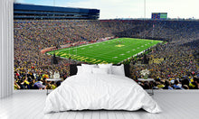Michigan University Big House Day Game Football Stadium Wall Mural