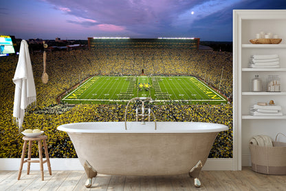 Michigan Stadium Wallpaper Big House Night 1 Wall Mural bathroom