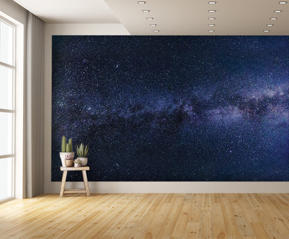 Milky Way 1 Wall Mural