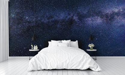 Milky Way 1 Wall Mural
