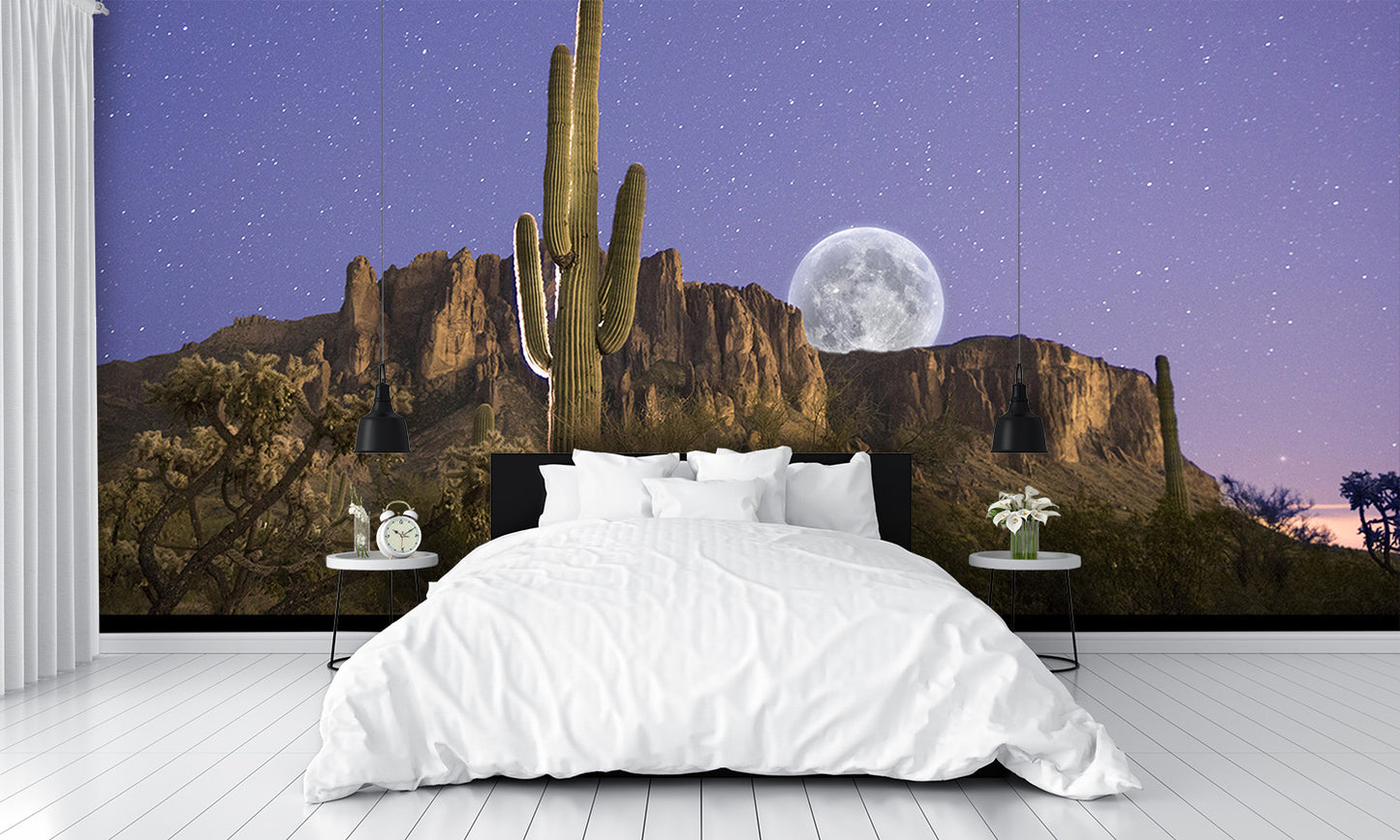 Moon Rise Over Superstition Mountains Wall Mural