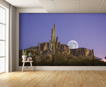 Moon Rise Over Superstition Mountains Wall Mural