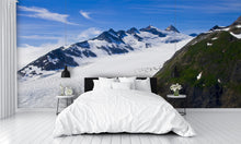 Mountains and Snow in Alaska Wall Mural