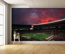 Bryant–Denny Alabama Football Stadium Wallpaper Wall Mural man cave