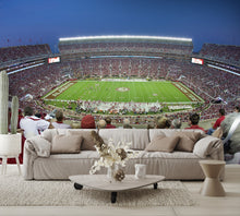 Bryant–Denny Stadium Football Stadium at Night Wall Mural
