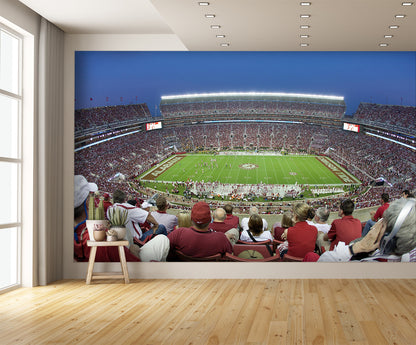 Bryant–Denny Stadium Football Stadium at Night Wall Mural