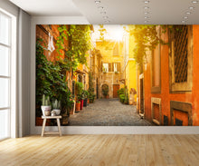 Old Street in Trastevere Rome Wall Mural
