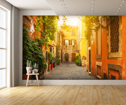 Old Street in Trastevere Rome Wall Mural