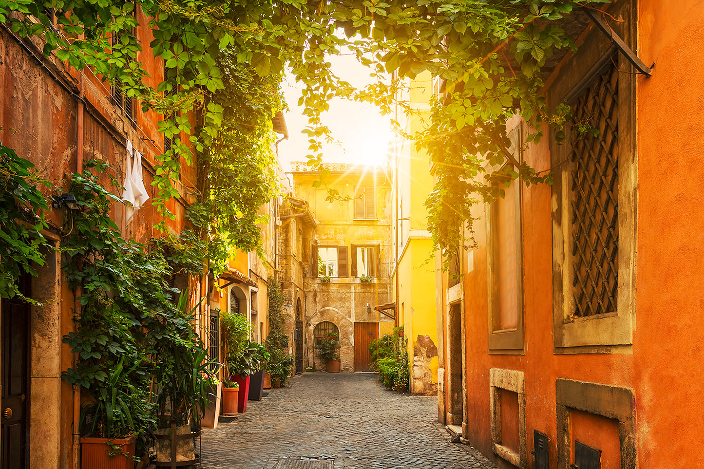 Old Street in Trastevere Rome Wall Mural