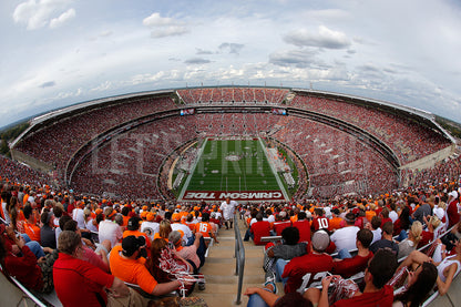 Fisheye View of Bryant–Denny Stadium Football Stadium Wall Mural