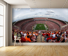 Fisheye View of Bryant–Denny Stadium Football Stadium Wall Mural