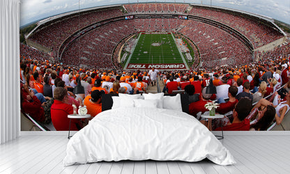 Fisheye View of Bryant–Denny Stadium Football Stadium Wall Mural