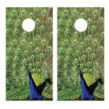 Peacock Cornhole Board Decals  Bean Bag Toss