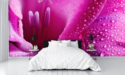 Pink Flower Wall Mural