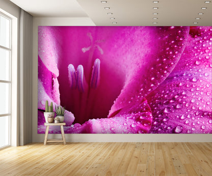 Pink Flower Wall Mural
