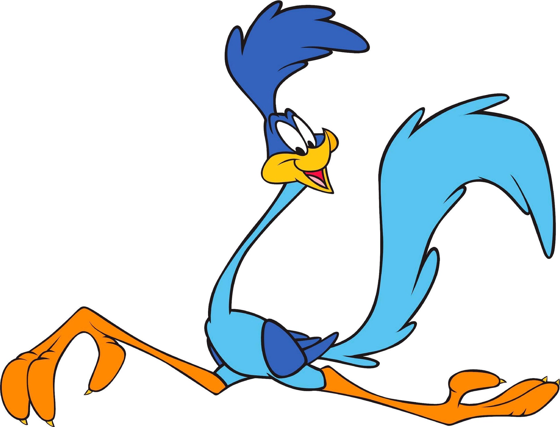 Roadrunner color decal sticker Mirrored Image Available - Let's Print Big