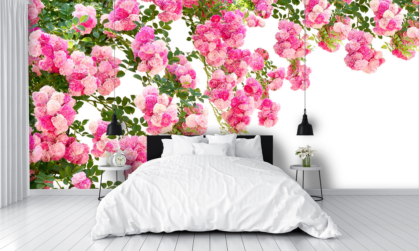 Rose Flowers Isolated Wall Mural