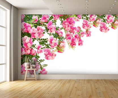 Rose Flowers Isolated Wall Mural