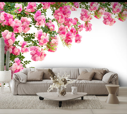 Rose Flowers Isolated Wall Mural