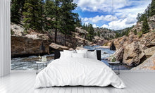 Rushing Stream River Water Through Eleven Mile Canyon Colorado Wall Mural