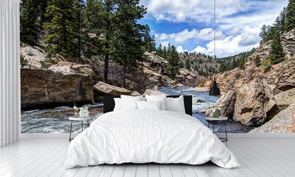 Rushing Stream River Water Through Eleven Mile Canyon Colorado Wall Mural
