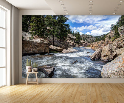 Rushing Stream River Water Through Eleven Mile Canyon Colorado Wall Mural