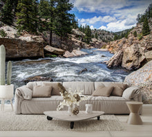 Rushing Stream River Water Through Eleven Mile Canyon Colorado Wall Mural