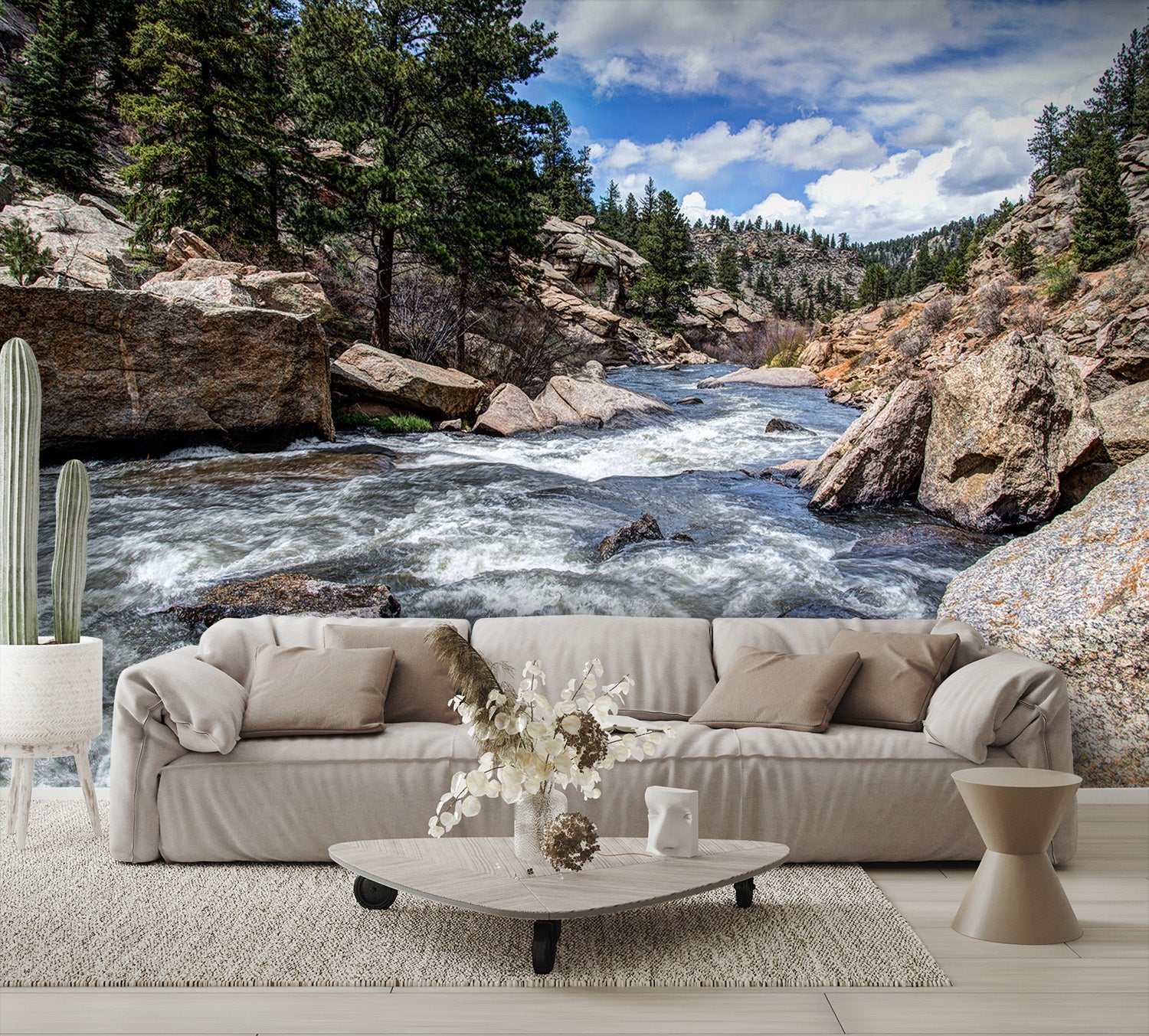 Rushing Stream River Water Through Eleven Mile Canyon Colorado Wall Mural