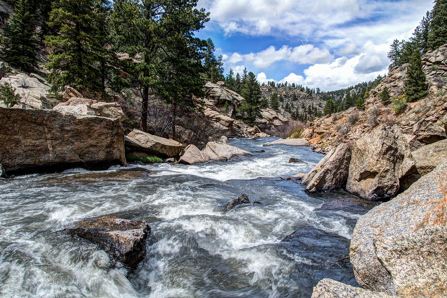 Rushing Stream River Water Through Eleven Mile Canyon Colorado Wall Mural