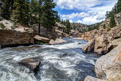 Rushing Stream River Water Through Eleven Mile Canyon Colorado Wall Mural